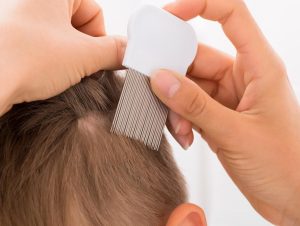 Peigne anti-poux